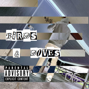 Tavi - Birds & Doves