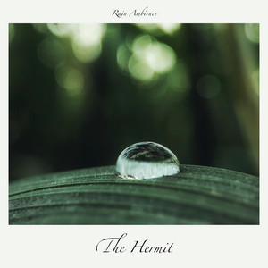 Rain Ambience