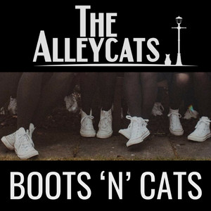 Blame It on the Boogie by The Alley Cats