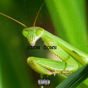 Portada de Slow Down