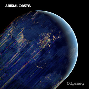 Infinity space by Animal Divers