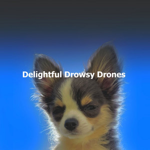 Delightful Drowsy Drones