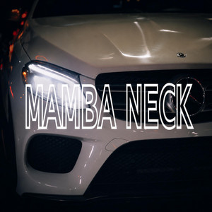 NECK by Mamba