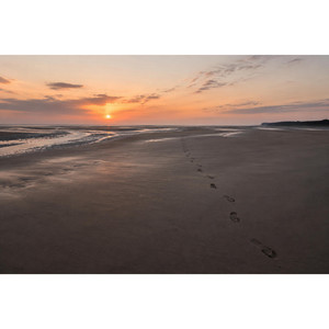 Slow Tide by Malik Fenner