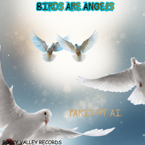 Birds are Angels by Paris Gordon