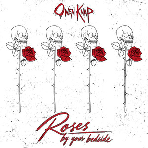 Roses By Your Bedside by Owen Knap