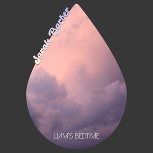 Liam's Bedtime by Sarah Barber