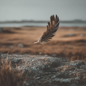 The Wild Wind by Schilbi