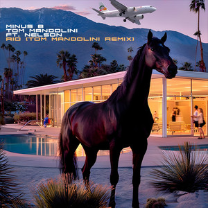 Minus 8 — Rio (Tom Mandolini Remix) (2026)