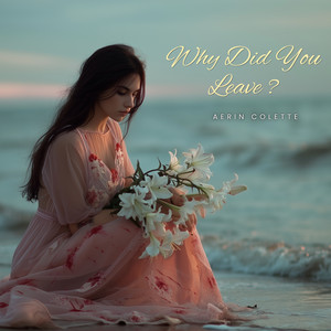 Why Did You Leave ? by Aerin Colette