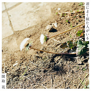 もしも僕に by Hana Sekitori