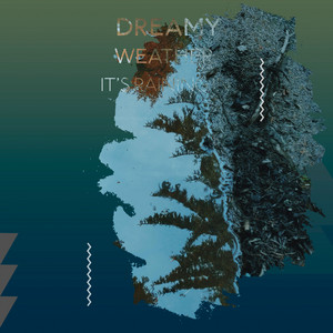 zZz Dreamy Weather: It's Raining in the Valley zZz album