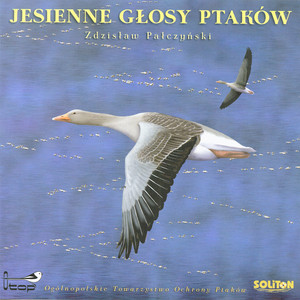 Songs and calls of birds from Poland poster