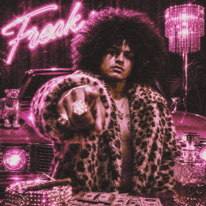 FREAK ON THE DANCEFLOOR by NEEK