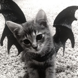 Tülay - İkimiz Bir Fidanın