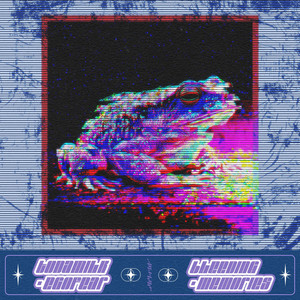 bleeding memories by Egofear, toadmilk