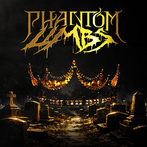 Ends Up On Us by Phantom Limbs