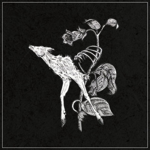 album cover: World of Decay