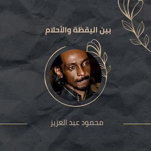 محمود عبد العزيز - Ben El Yaqaza We El Ahlam (Live)