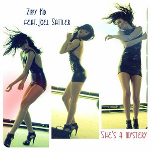She's A Mystery (feat. Joel Sattler)