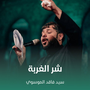 سيد فاقد الموسوي - شر الغربة
