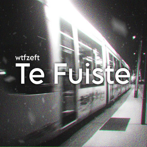 Te fuiste
