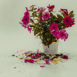 Everything You Wanted (And Less) by Worseforwear