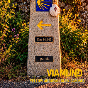Yellow Arrows (Buen Camino) by Viamund