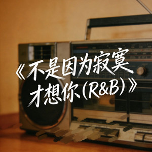 不是因为寂寞才想你(R&B版) by 潮汐老李