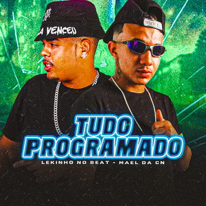 Portada de Tudo Programado