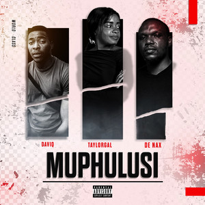 Muphulusi by DaviQ, TaylorGal, De nax