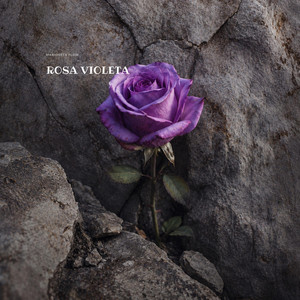 Rosa violeta by MARIONETA FLOW