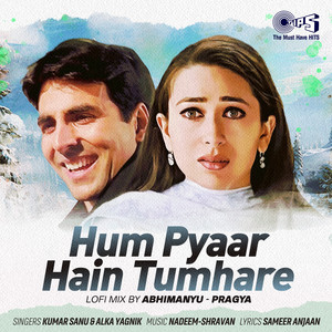 Kumar Sanu, Alka Yagnik & Abhimanyu-Pragya - Hum Pyaar Hai Tumhare (Lofi Mix)