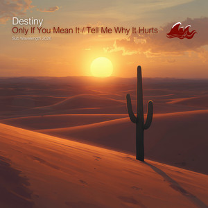 Tell Me Why It Hurts by Destiny