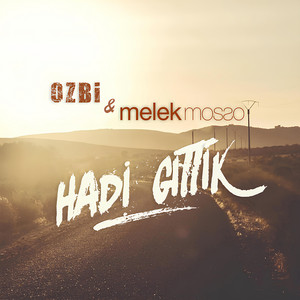Hadi Gittik