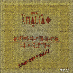 Simbiose Pineal