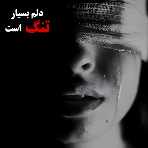 آهنگ بسیار غمگین دلم بسیار تنگ است یخن را میدرم
