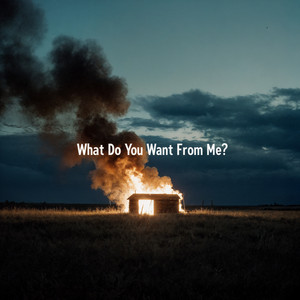 You Wanted An Answer by Nocturnal Animals