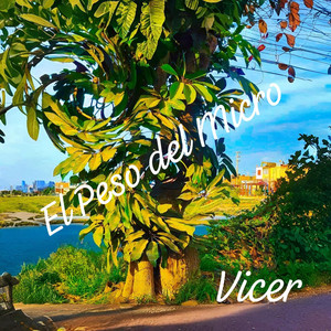 El Peso del Micro by Vicer
