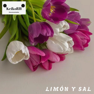 Limón y Sal by KeikoRH