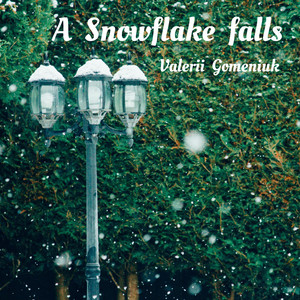 A Snowflake falls