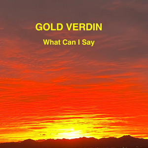 What Can I Say by Gold Verdin