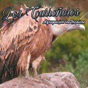 Los Carroñeros by Agrupacion Los Incaicos