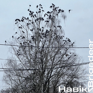 Обкладинка: Навіки