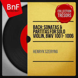 Violin Partita No. 1 in B Minor, BWV 1002: I. Allemanda