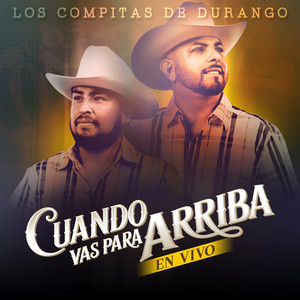 Mujer Perfecta - En Vivo