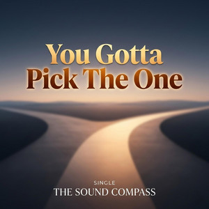 You Gotta Pick The One by The Sound Compass