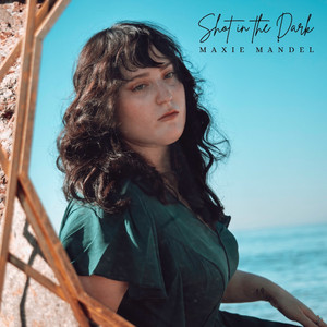 Shot In The Dark by Maxie Mandel