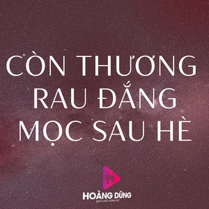 Diễm Trang - Trách Ai Vô Tình