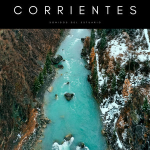 Corrientes: Sonidos Del Estuario album